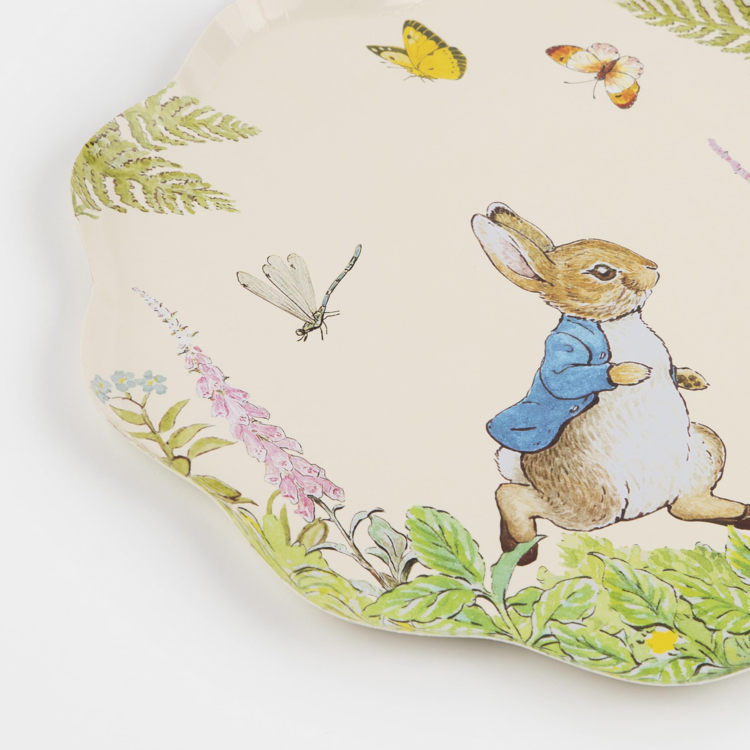 Meri Meri Peter Rabbit™ Plates, Pack of 8 Disposable Plates, Festive Easter Party Decorations - Image 3